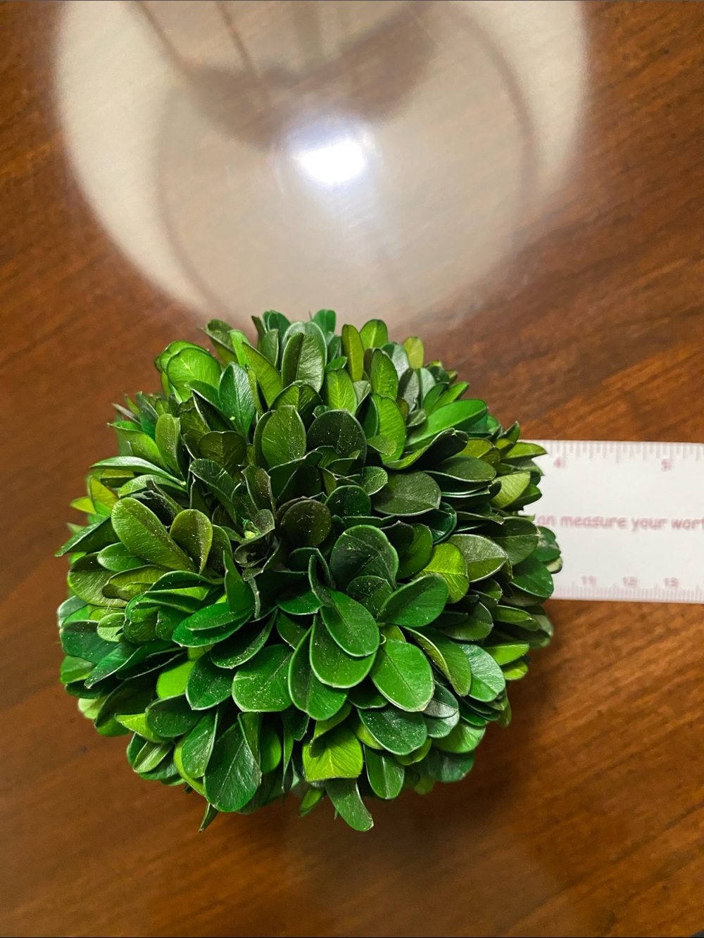 Preserved Boxwood Decorative Accent Ball - Green - Picture 2 of 3